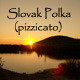 Slovak Polka Pizzicato