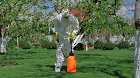 Professional Gardener Prepares To Spray Trees alt