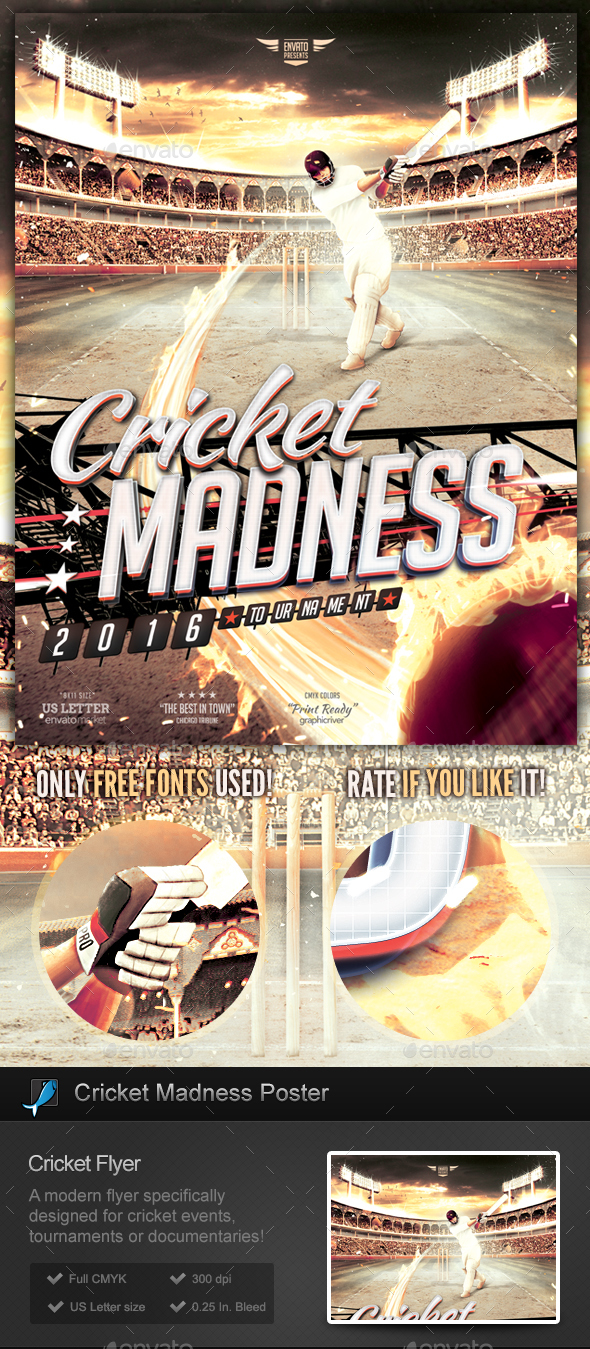 Cricket Madness Flyer Template by StormDesigns GraphicRiver