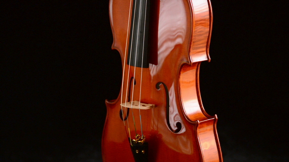 Viola Body Gyrating alt