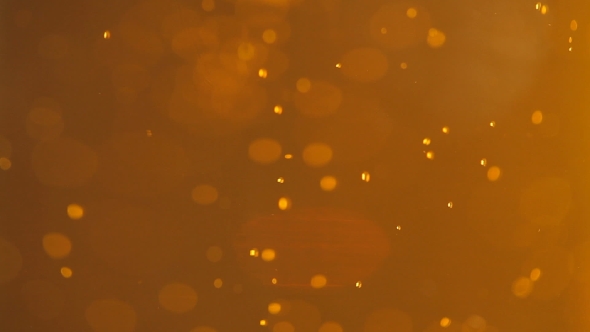 Beer Bubbles In a Glass alt