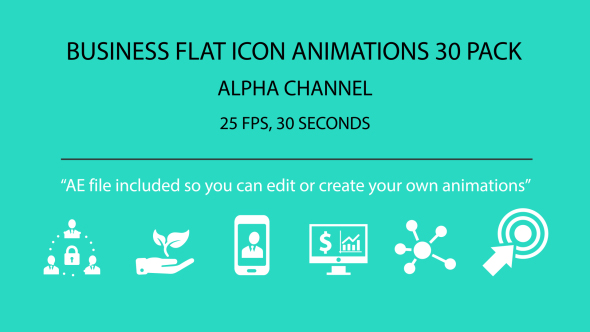 Business FLAT ICON Animations 30 PACK