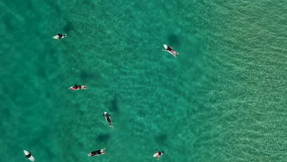 High view of surfers sitting in the ocean and riding waves alt