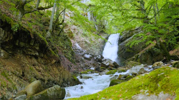 Waterfall In Wild Forest