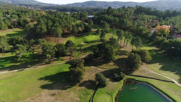 Green Golf Field alt