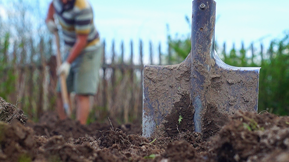 Spring Garden Work alt