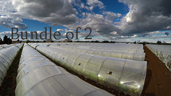 Above the Greenhouse alt