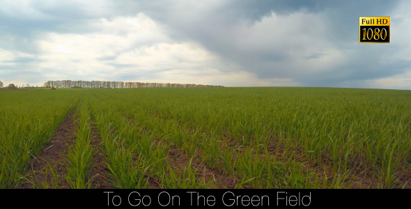 Go On The Green Field 4 alt