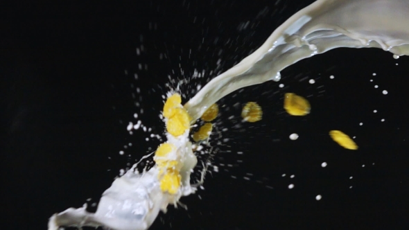 Splash Of Milk Stream And Corn Flakes By HighWayvideography VideoHive