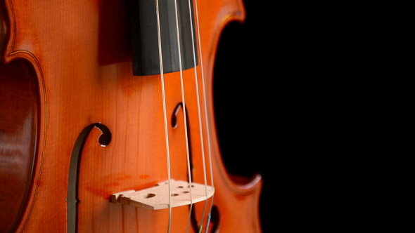 Viola Waist Gyrating alt