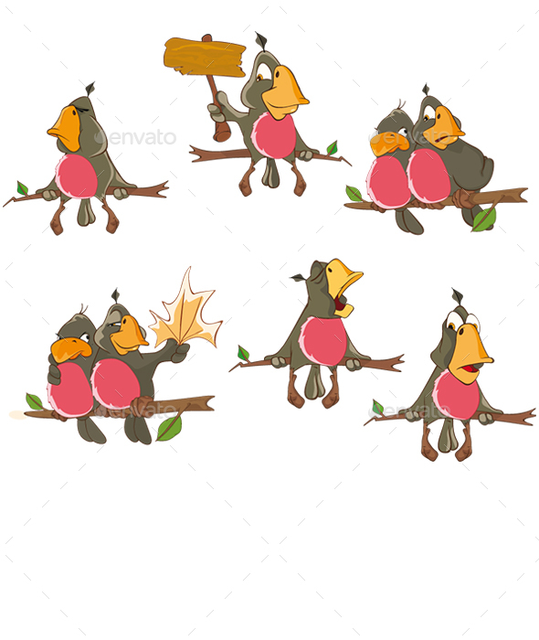 Set of Cute Parrots for You Design - Animals Characters