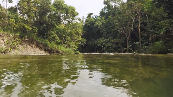 River In The Jungle. Camera Flight. Philippines. Bohol. alt