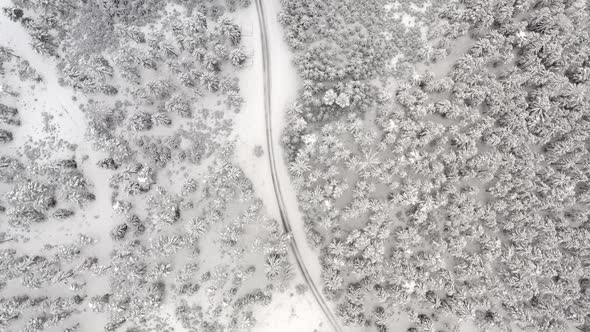 Aerial View at Path Through Snow Covered Forest in Austria