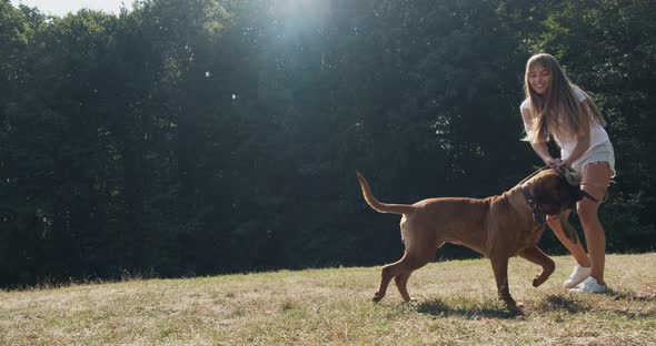 Happy Young Female Cheerfully Playing Leash with Dog in the Lawn. Love and Friendship with Domestic