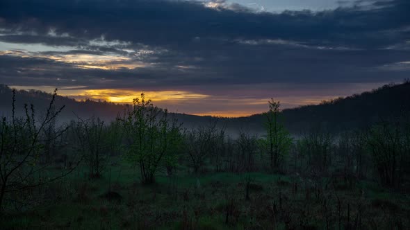 Timelapse  Dawn Fog Trees and Clouds alt