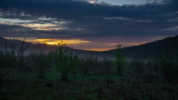 Timelapse  Dawn Fog Trees and Clouds