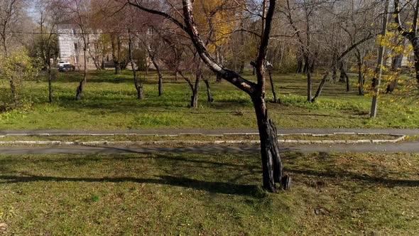 Drone view of empty autumn old park in a provincial town. 66 alt