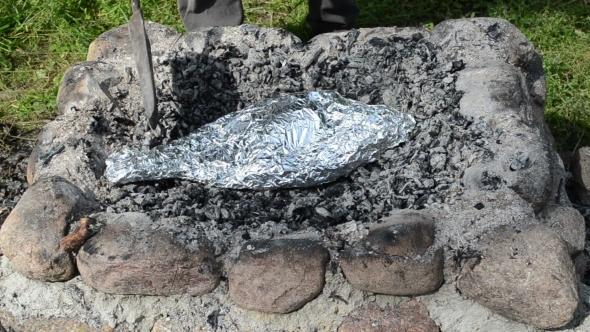 Man Hand Huge Fish Wrap Foil Fire Bonfire Bury With Ember Cinder