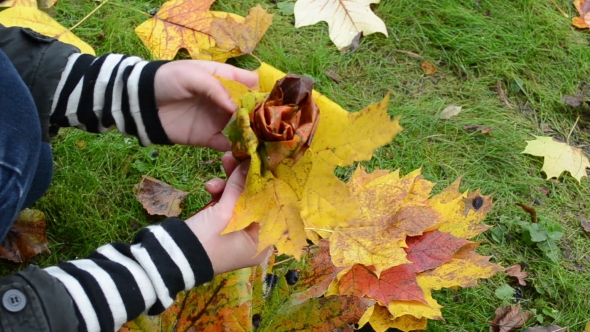 Woman Hands Make Decor Flower Beautiful Autumn Tree Leaves