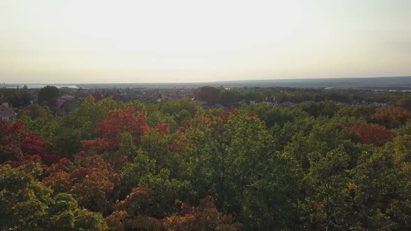 Aerial View on Autumn Landscape, Multi Colored Top of Trees