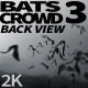Bats Crowd 3 - VideoHive Item for Sale