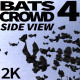 Bats Crowd 4 - VideoHive Item for Sale