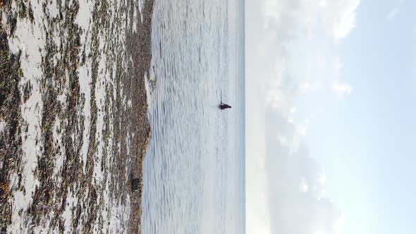 Vertical Video of a Coastal Landscape in Zanzibar Tanzania Aerial View alt