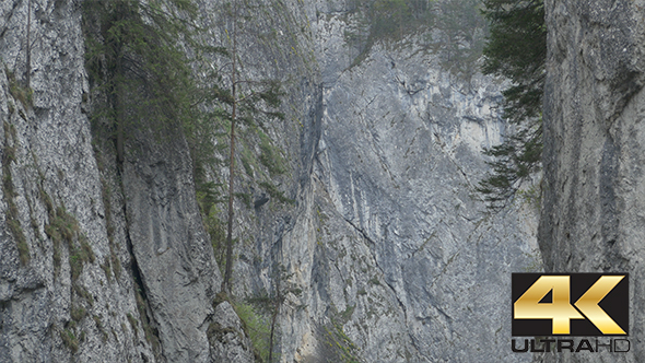 Steep Rocks and Trees alt