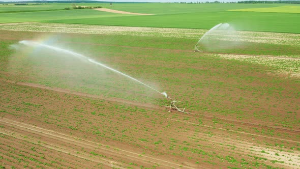 Aerial Footage of Automatic Irrigation Sprinkle Watering System in the Agriculture Field alt