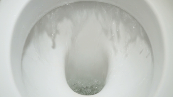 Drain The Water From Into a White Toilet