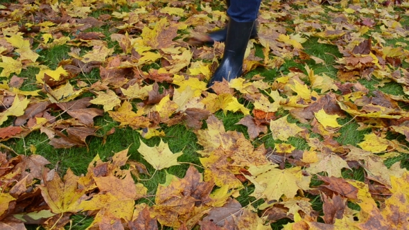 Woman Rubber Boots Play Colorful Autumn Maple Tree Leaves Meadow