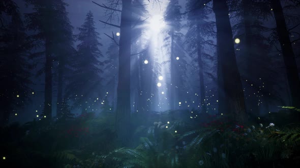 Moonlight in a magical forest 4K