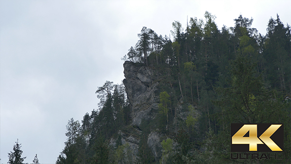 Mountain Cliff and Fir Trees alt