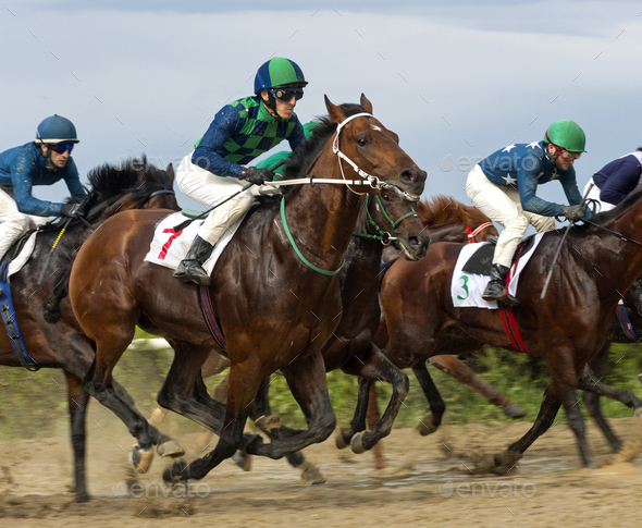 Horse racing in Nalchik