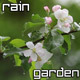 Blossoming In Rainy Spring Garden Blossoming In Rainy Spring Garden - VideoHive Item for Sale