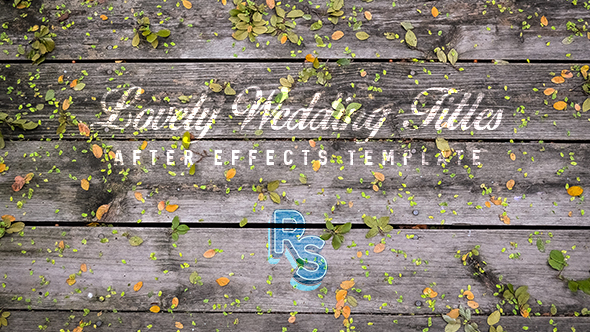 Lovely Wedding TItles - VideoHive 16287295