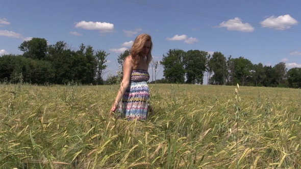 Pregnant Woman Walk Between Ripe Barley Plant Crop Ears