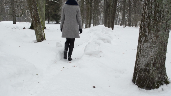 Woman Grey Coat Walking Cleaned Snow Winter Park Path