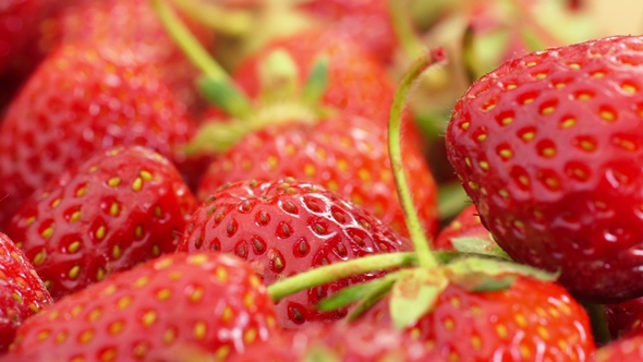 Red Strawberries Rotate. alt