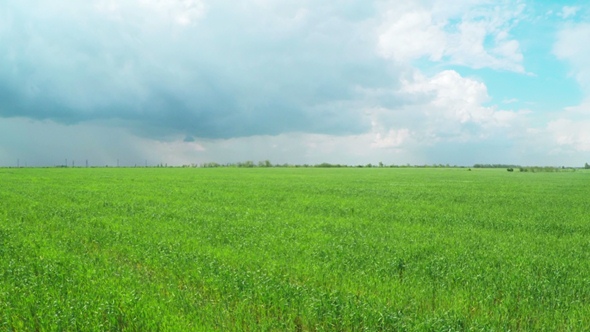 Flying over Green Wheat Fields alt