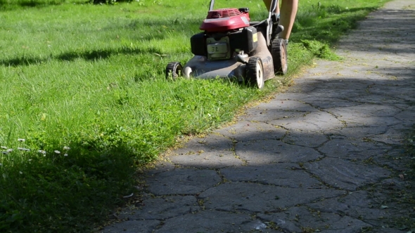 Gardener In Shorts Cut Grass Lawn With Mower Cutter Stone Path