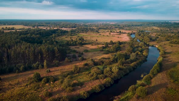 Wild nature in the countryside