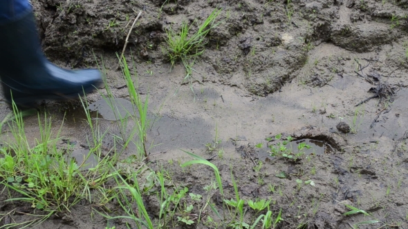 Woman Legs With Gumboots Walk On Wet Dirt Mud Leaves Footprints