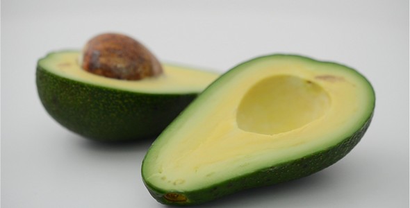 Avocado 10 alt