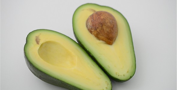 Avocado 13 alt