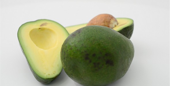 Avocado 15 alt