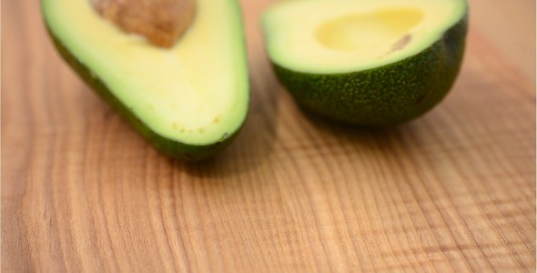 Avocado 21 alt