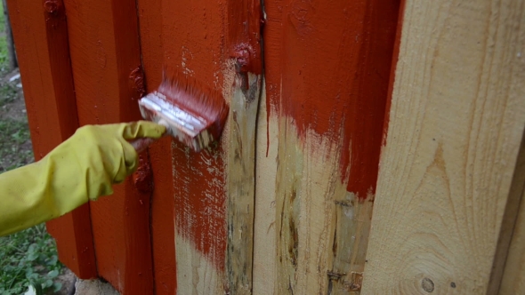  Hand Glove Paint Wooden Plank House Wall With Brush
