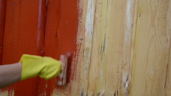 Hand Yellow Glove Paint Wooden Plank Wall With Brush Red Color