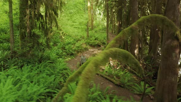 Excited Happy Woman Hiking Alone Magical Cinematic Dense Green Rainforest Moss alt